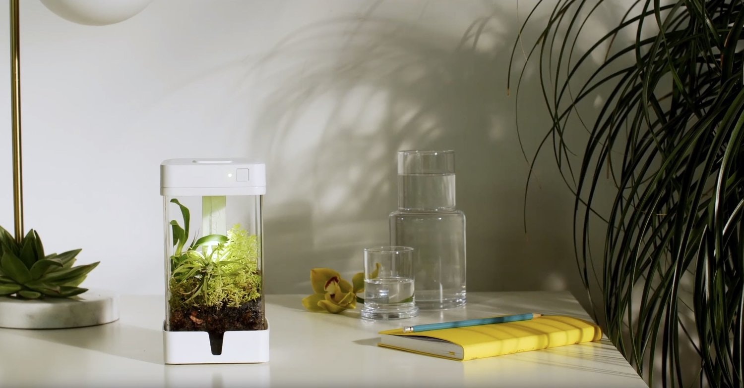 OrchidBox Smart Mini Terrarium 🌱 gallery image