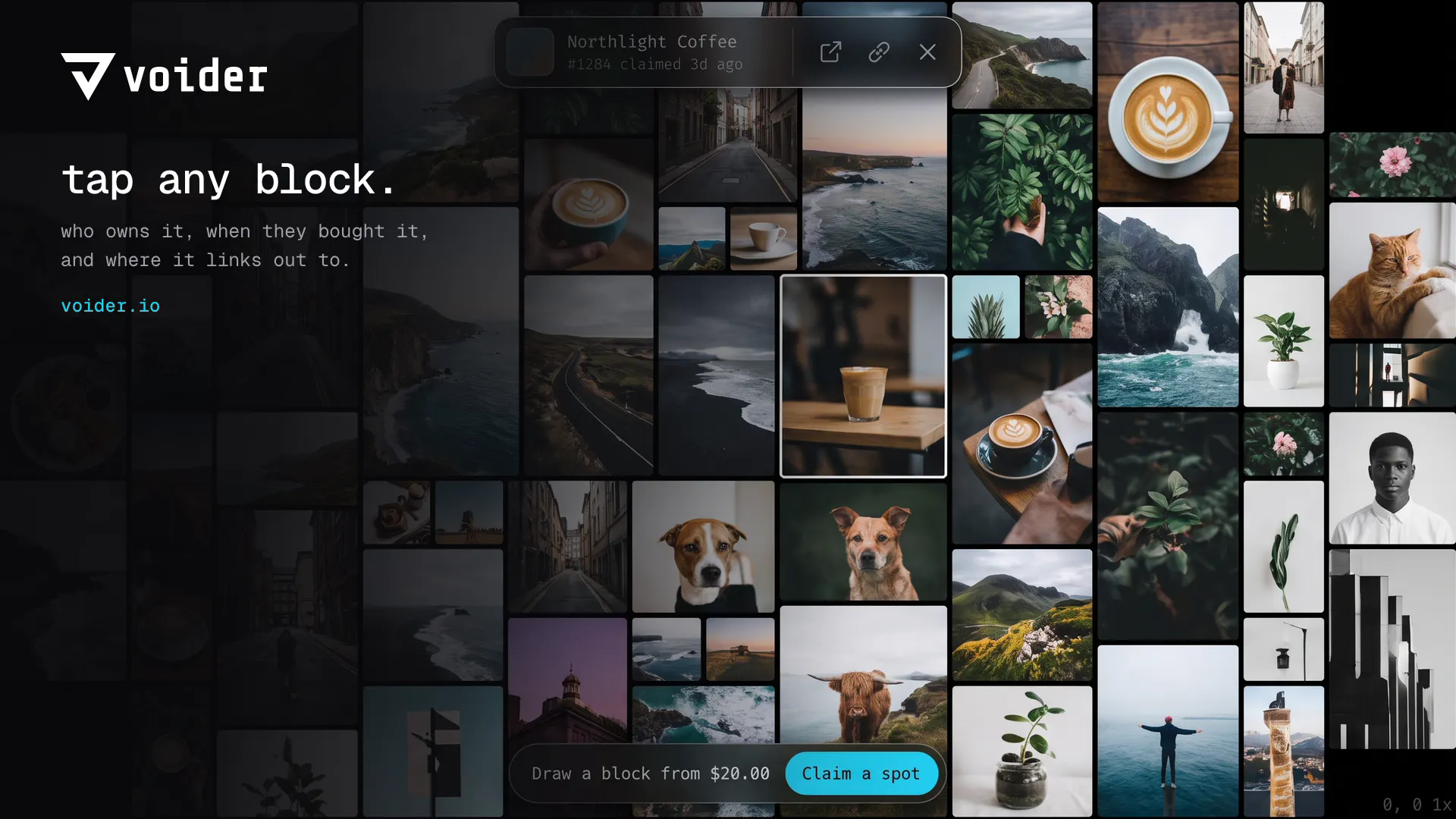 Voider gallery image