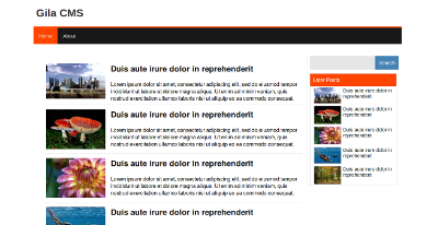 Gila CMS gallery image