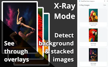 Pixel2Pixel Save Image As Chrome Plugin gallery image