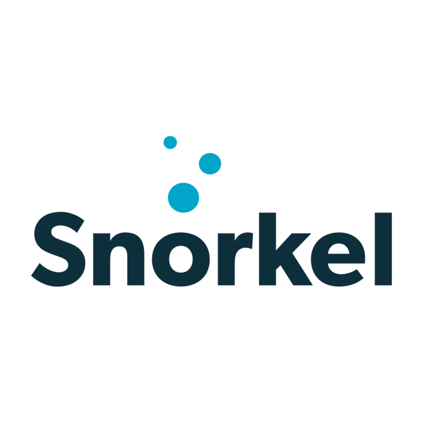 Snorkel - easy insights for ecommerce
