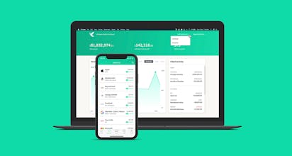 Bamboo gallery image