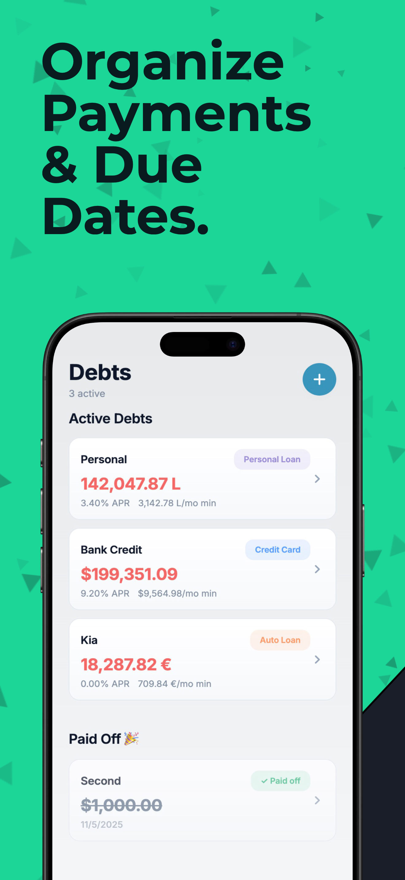 TinyDebt - Screenshot 3 showing product features and functionality
