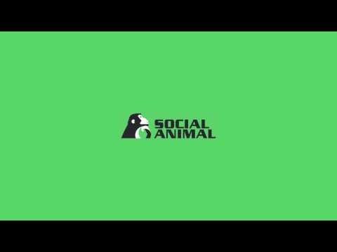 Social Animal gallery image
