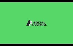 Social Animal media 1
