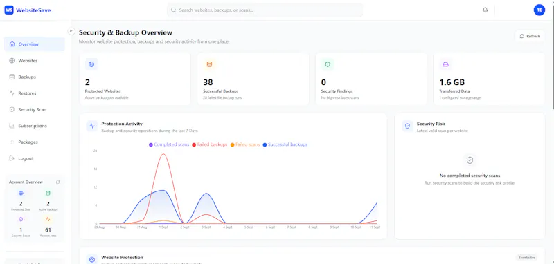 WebsiteSave.com screenshot 1