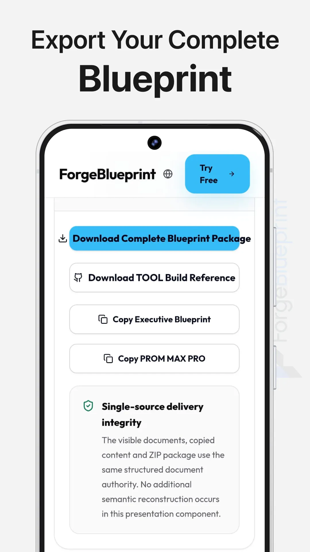 ForgeBlueprint gallery image