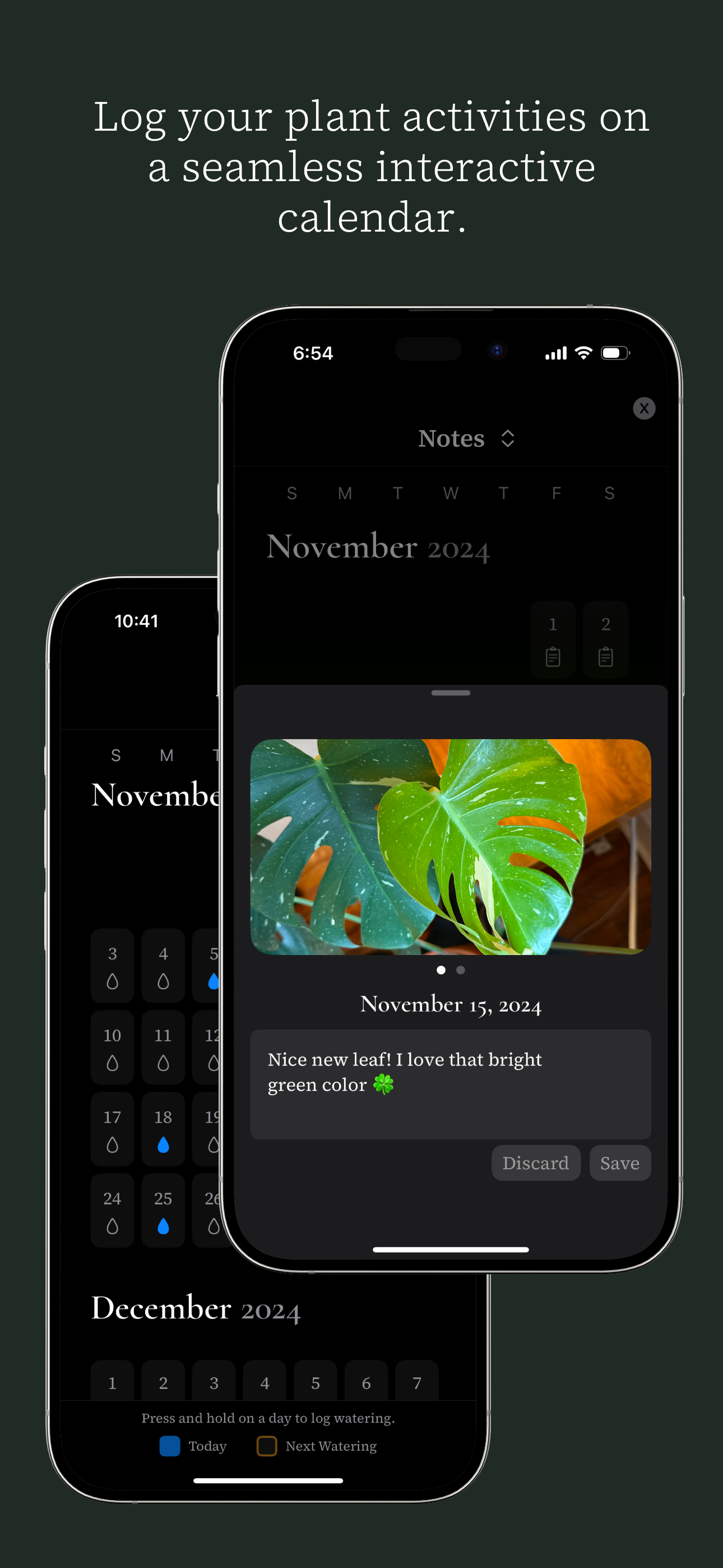 Ginkgo media 4