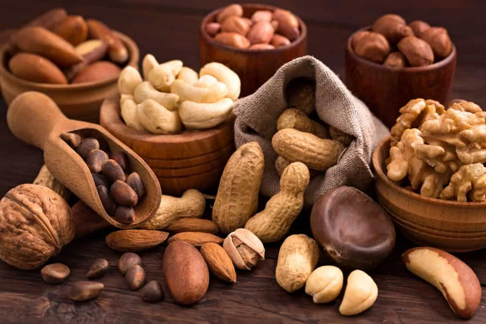 Edible Nuts Market