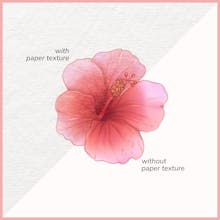 5 Paper Texture Canvases gallery image