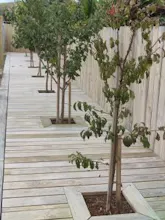 LandScaping gallery image