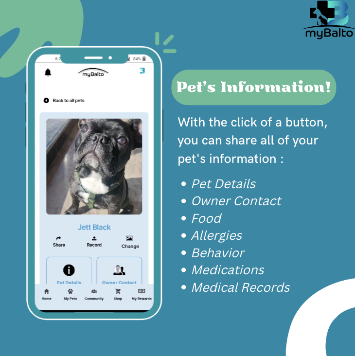 Media mybalto - Platform Kesihatan Pet Direka untuk meletakkan $$$ kembali di dompet anda 7