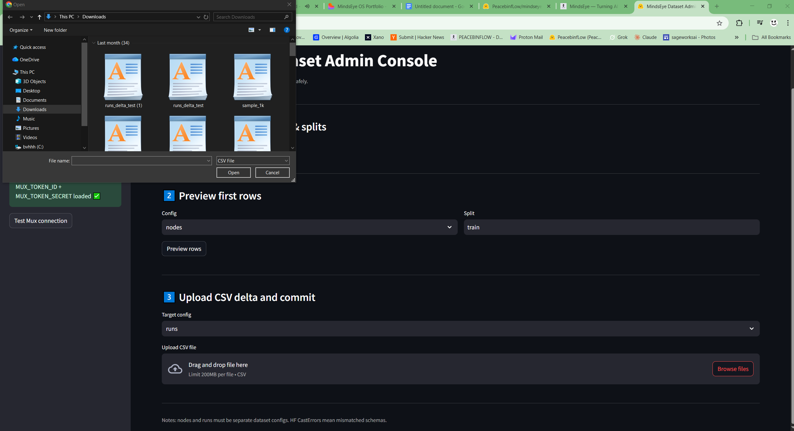 MindsEye Dataset Admin Console gallery image