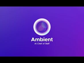 Ambient gallery image