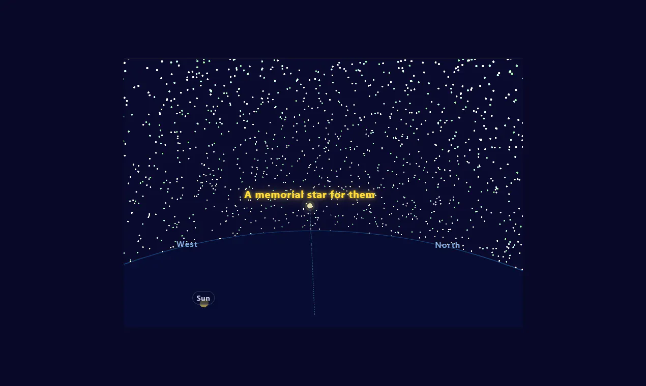 A Star Named gallery image