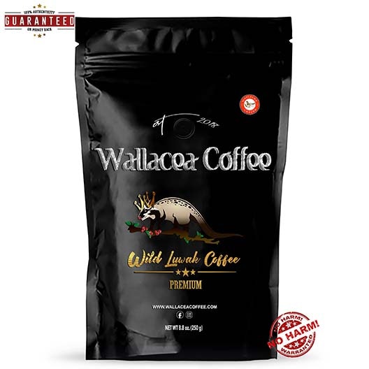 KOPI LUWAK COFFEE (WHOLE COFFEE BEANS)