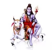 सावन सोमवार पूजा के समय भूलकर भी न करें gallery image