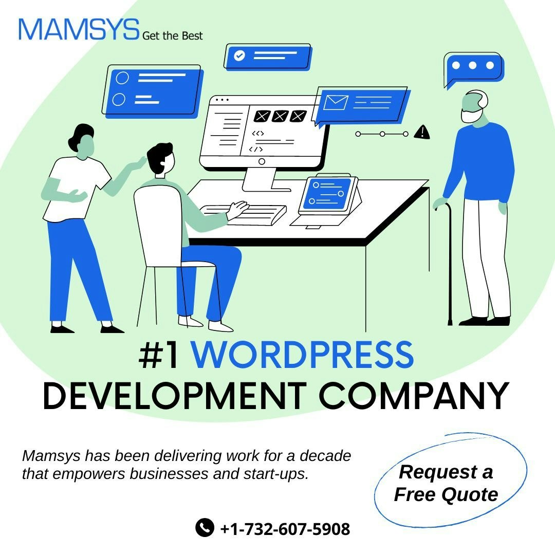 Soluciones de WordPress - Construir productos de software para el pensamiento de negocios transformadores media 3