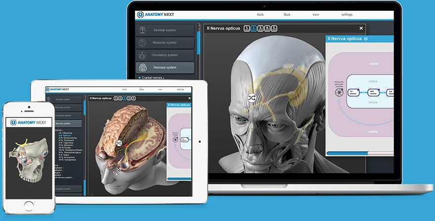 Anatomy Next gallery image
