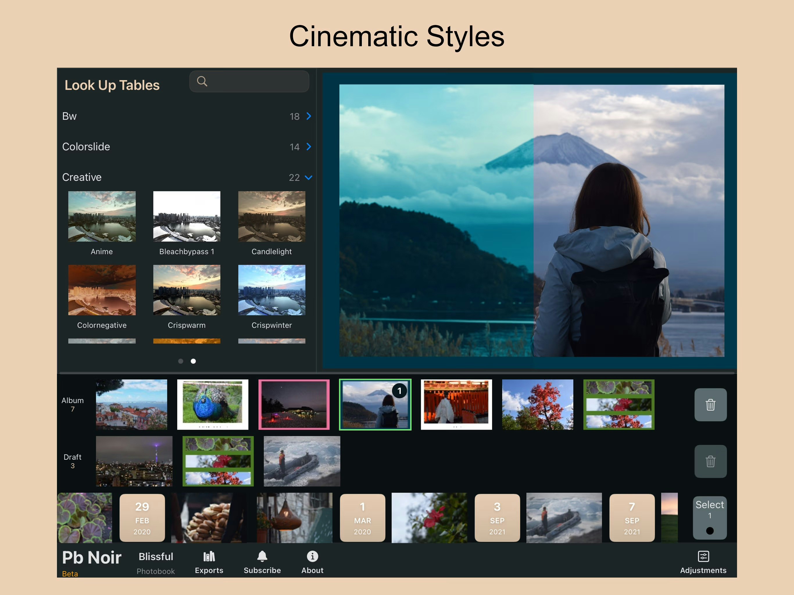 Photo Book Noir - Main product screenshot demonstrating key features and user interface