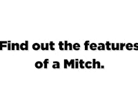 MITCH - Get to know Mitch media 3