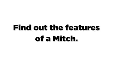 MITCH - Get to know Mitch gallery image