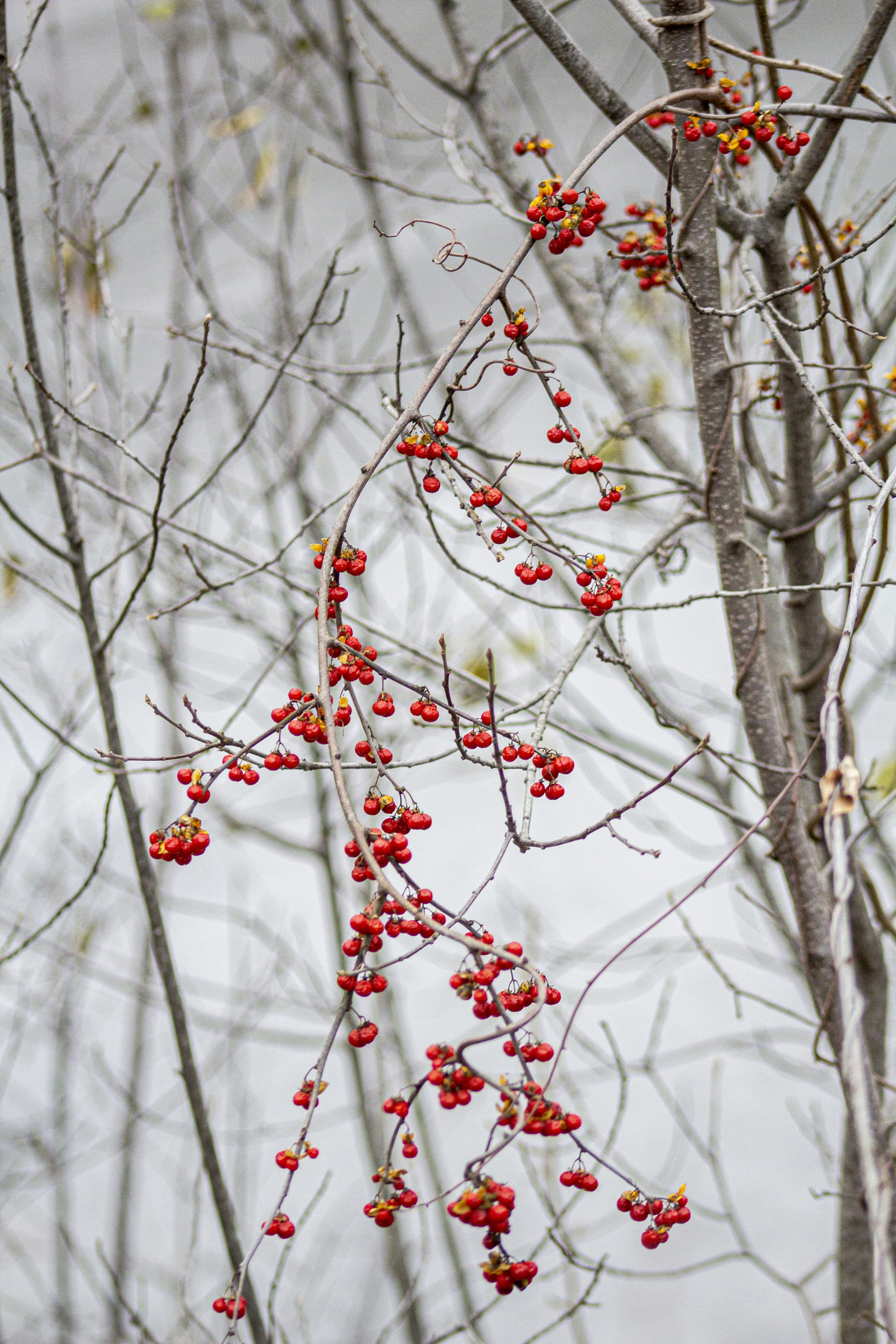 How to Get Better at Photography media 5