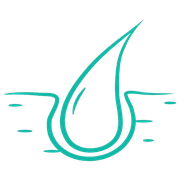 Skin Disease Identification