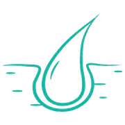 Skin Disease Identification logo