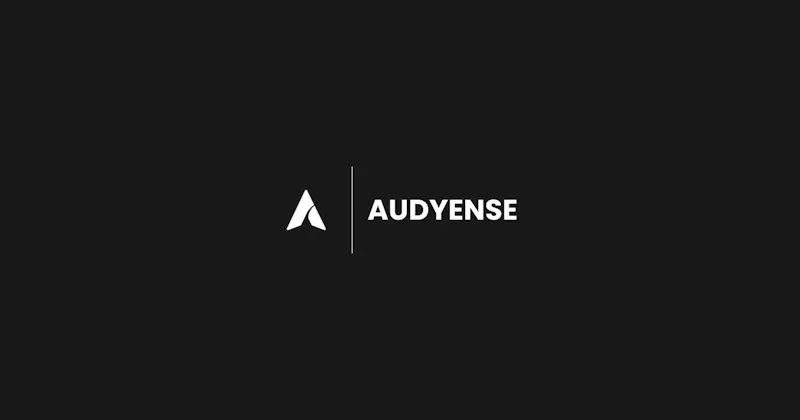 Audyense screenshot 1