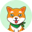 CryptoPuppies