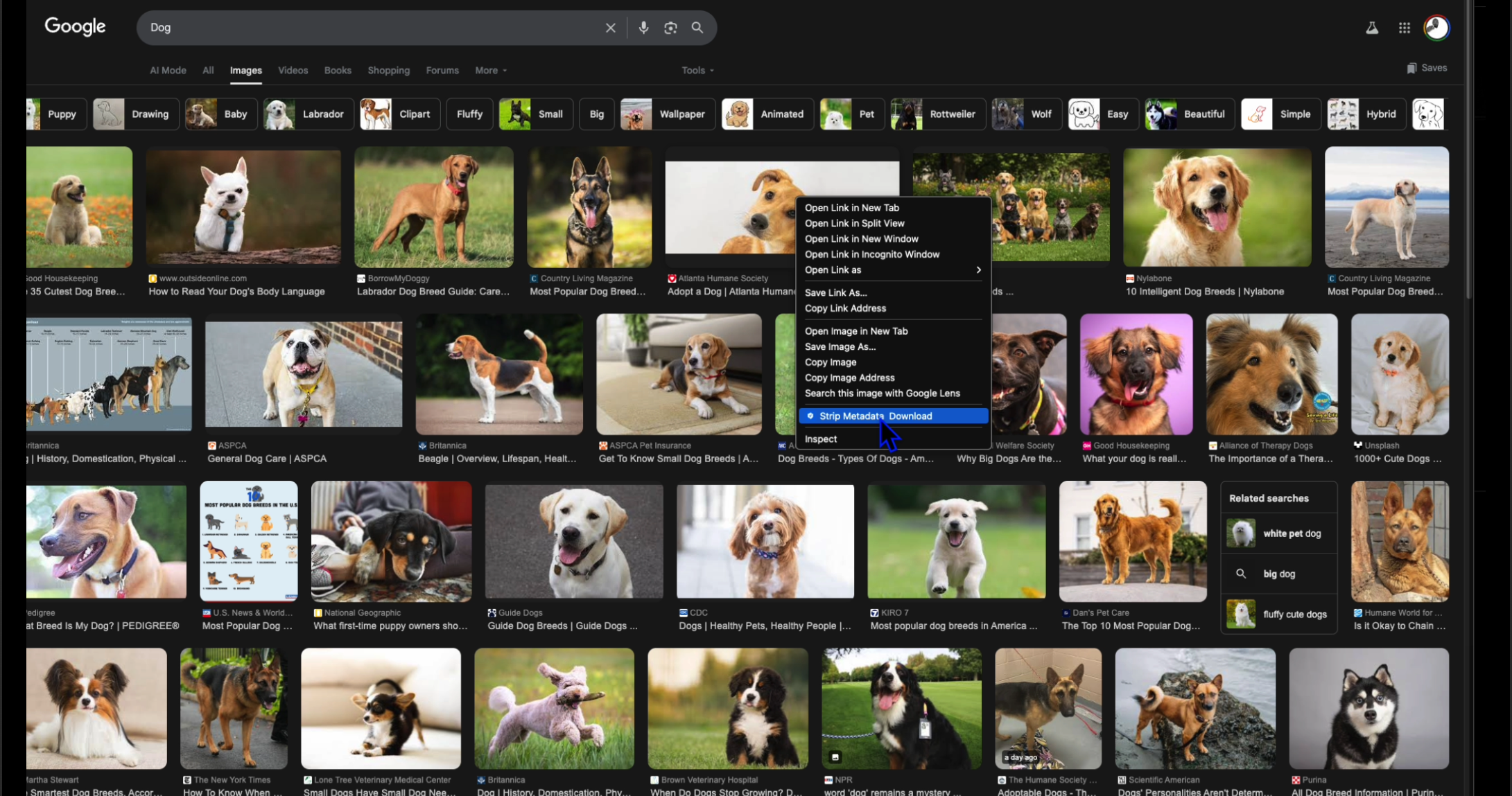 Metadata Remover gallery image