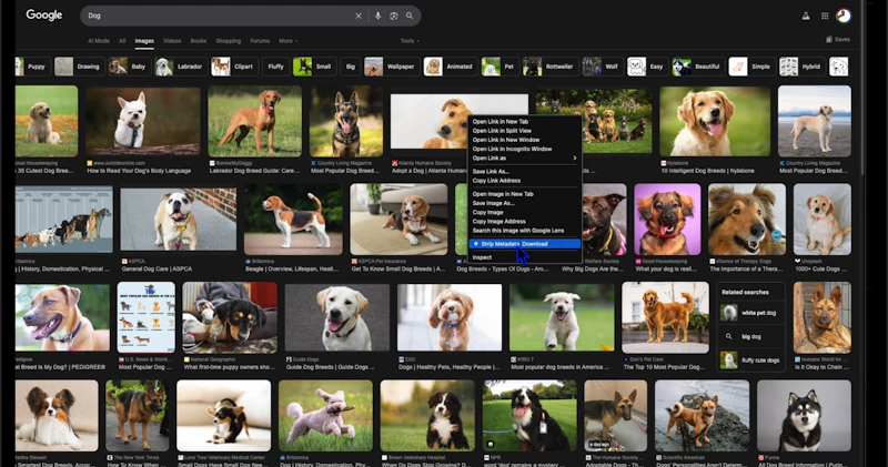 Metadata Remover screenshot 7