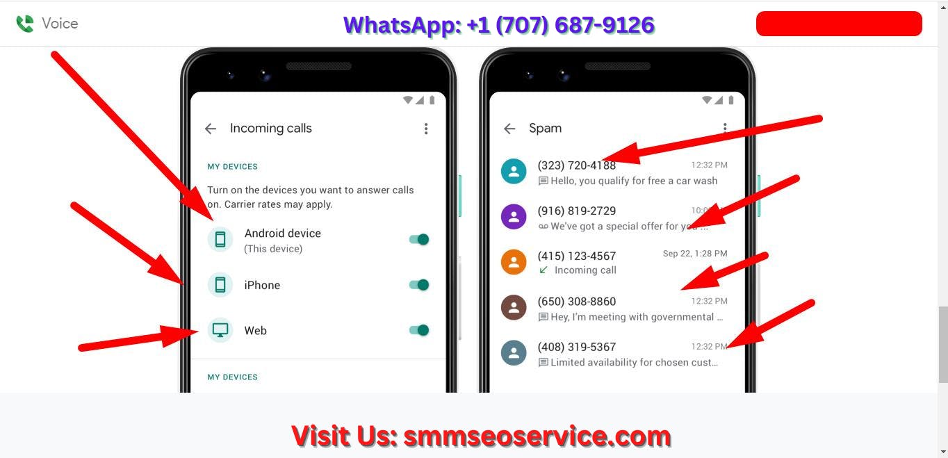 Smmseoservice Buy Google Voice Accounts media 1