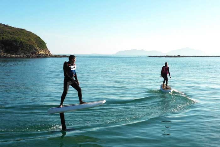 Waydoo gallery image