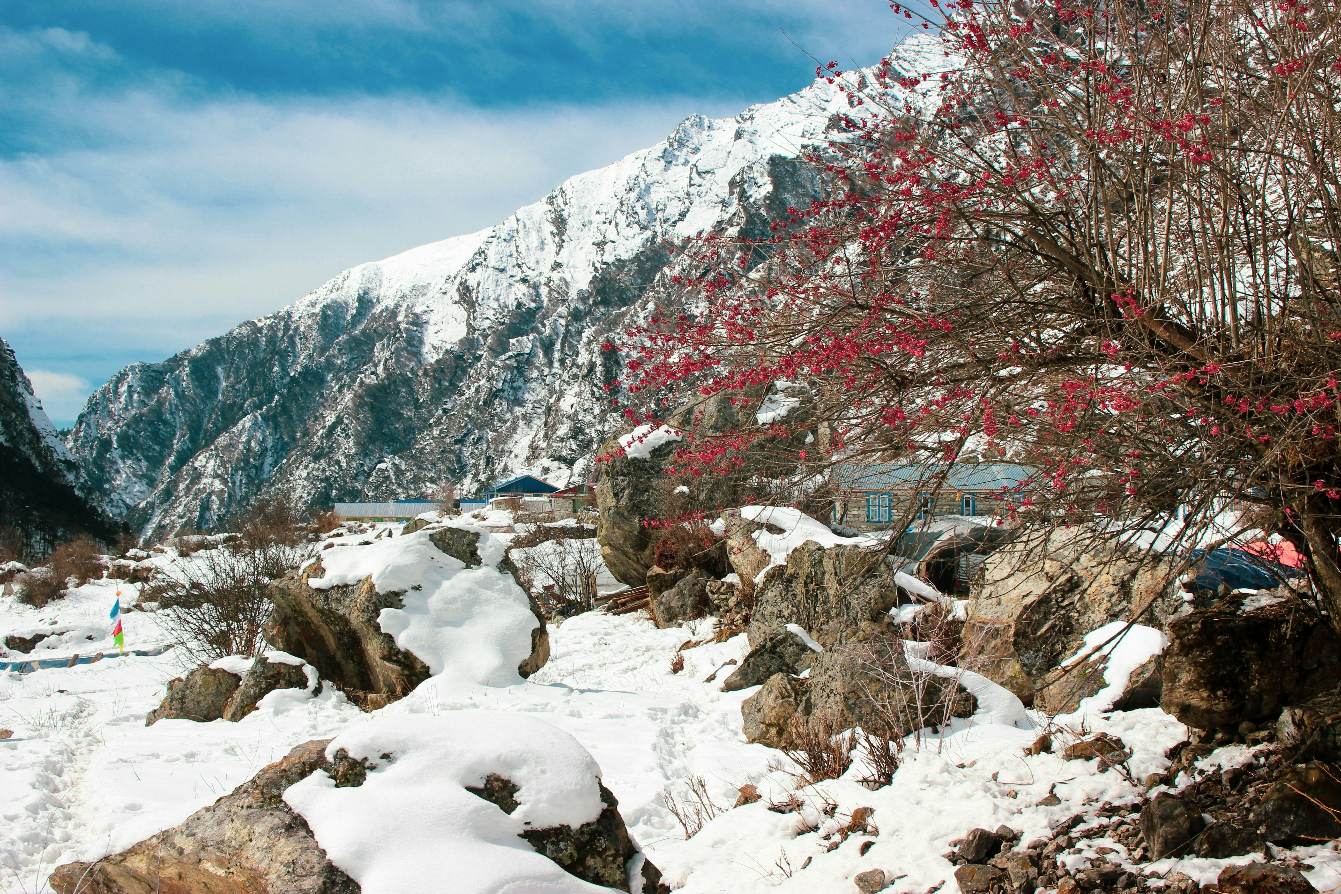 Langtang Valley Trek, 09 Days  gallery image