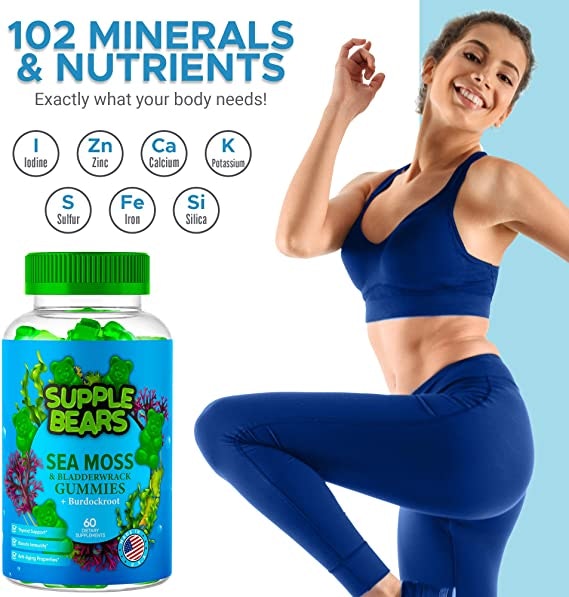 Apple Sea Moss Cider Vinegar Gummies gallery image
