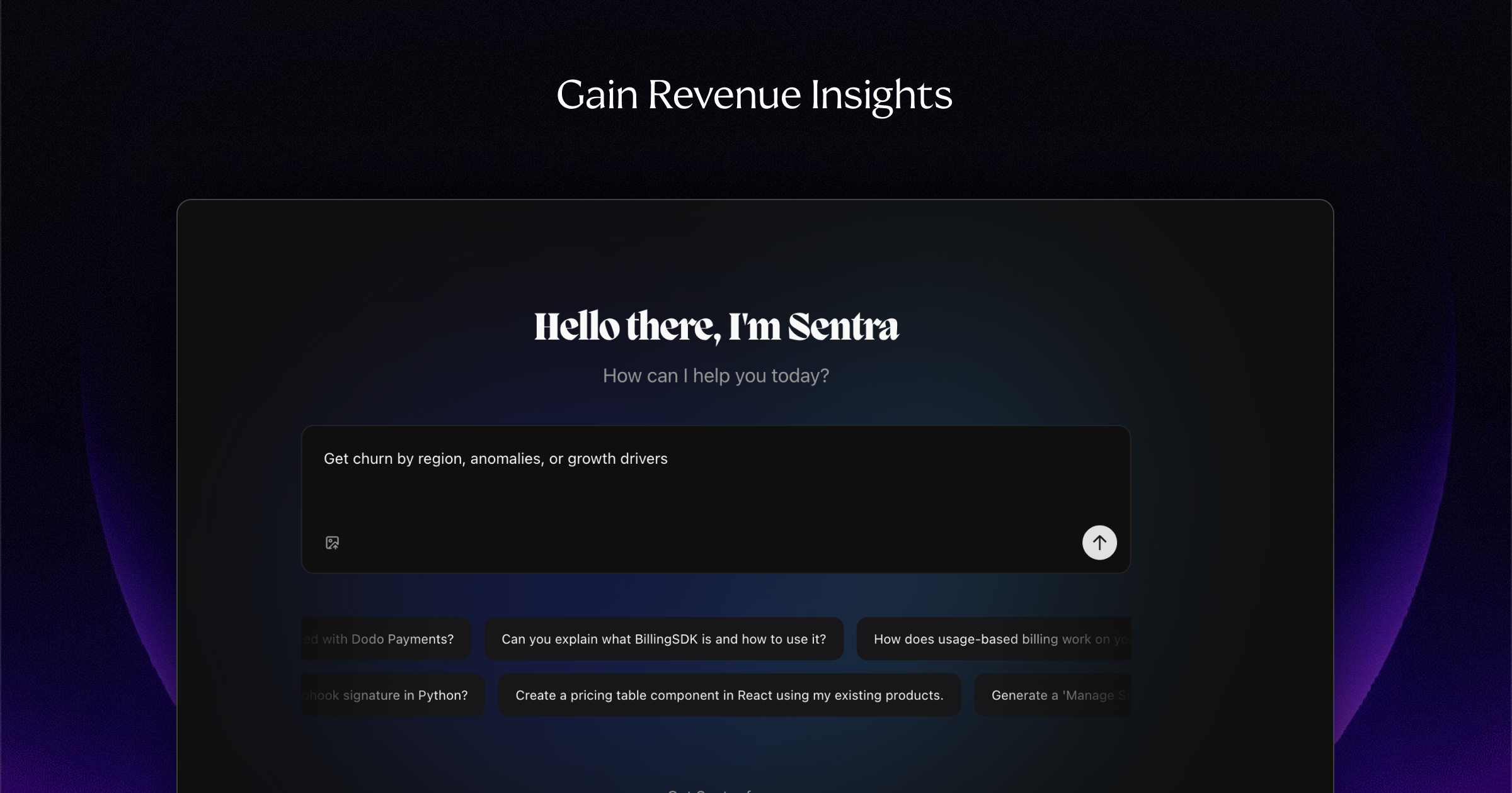 Sentra by Dodo Payments gallery image