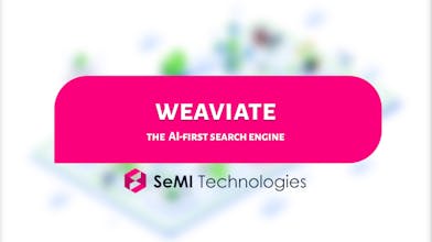 Weaviate gallery image