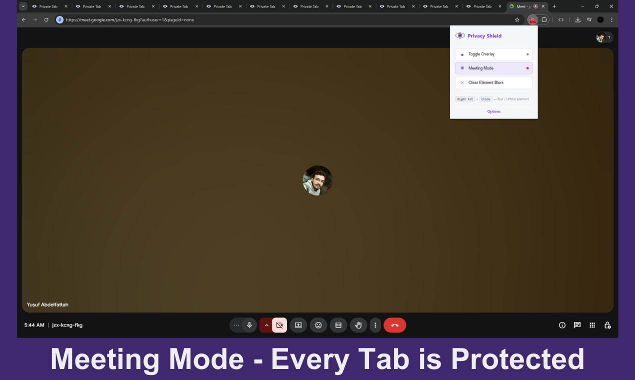 Privacy Shield gallery image