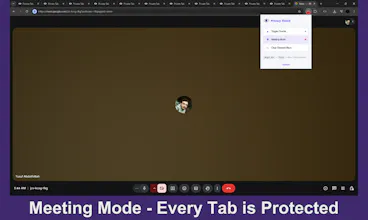Privacy Shield gallery image