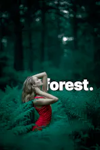 WordPop gallery image