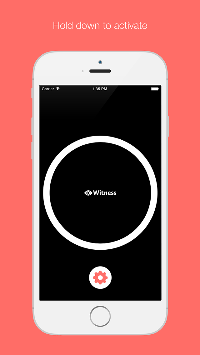 Witness gallery image