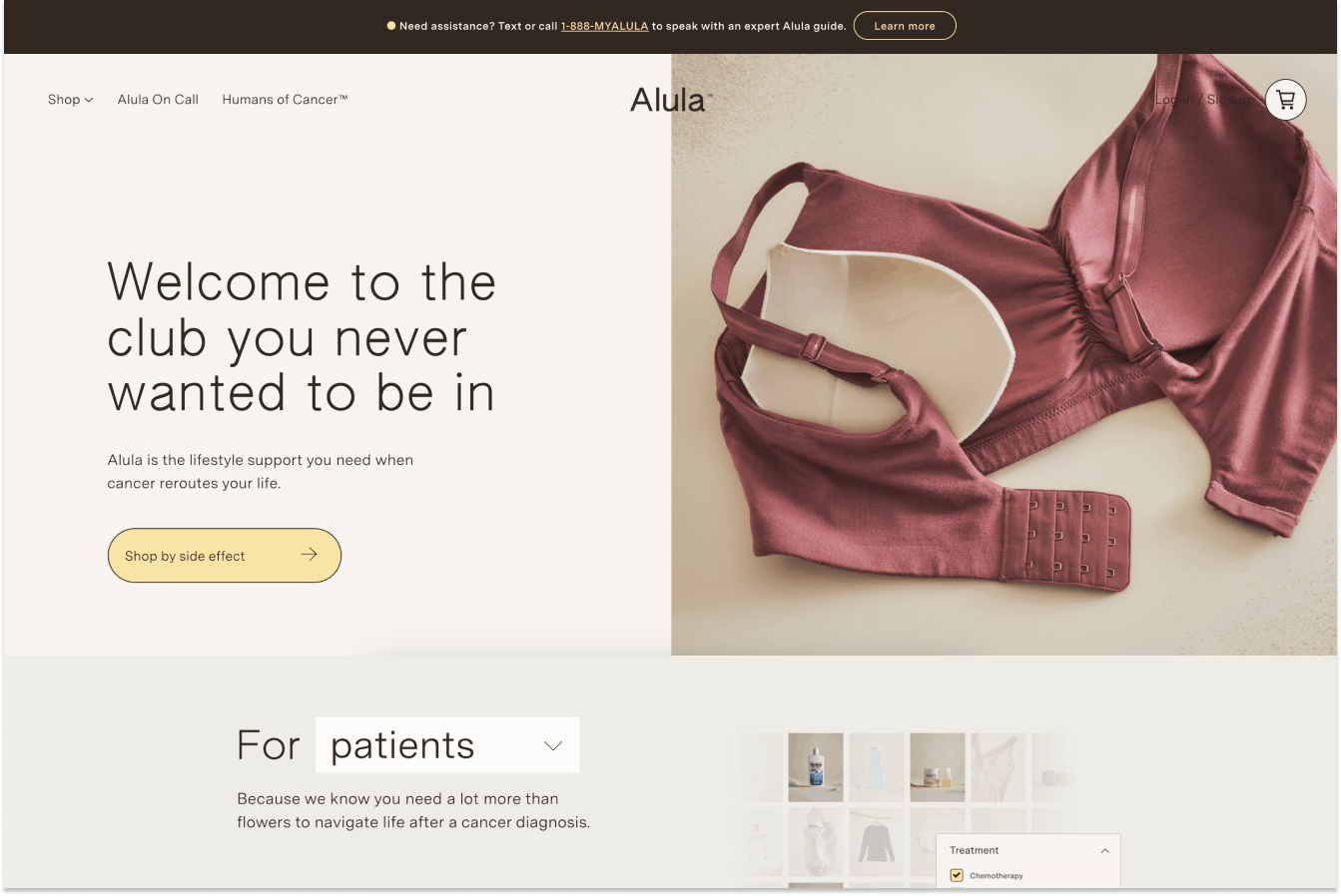 Alula homepage (March 2022)