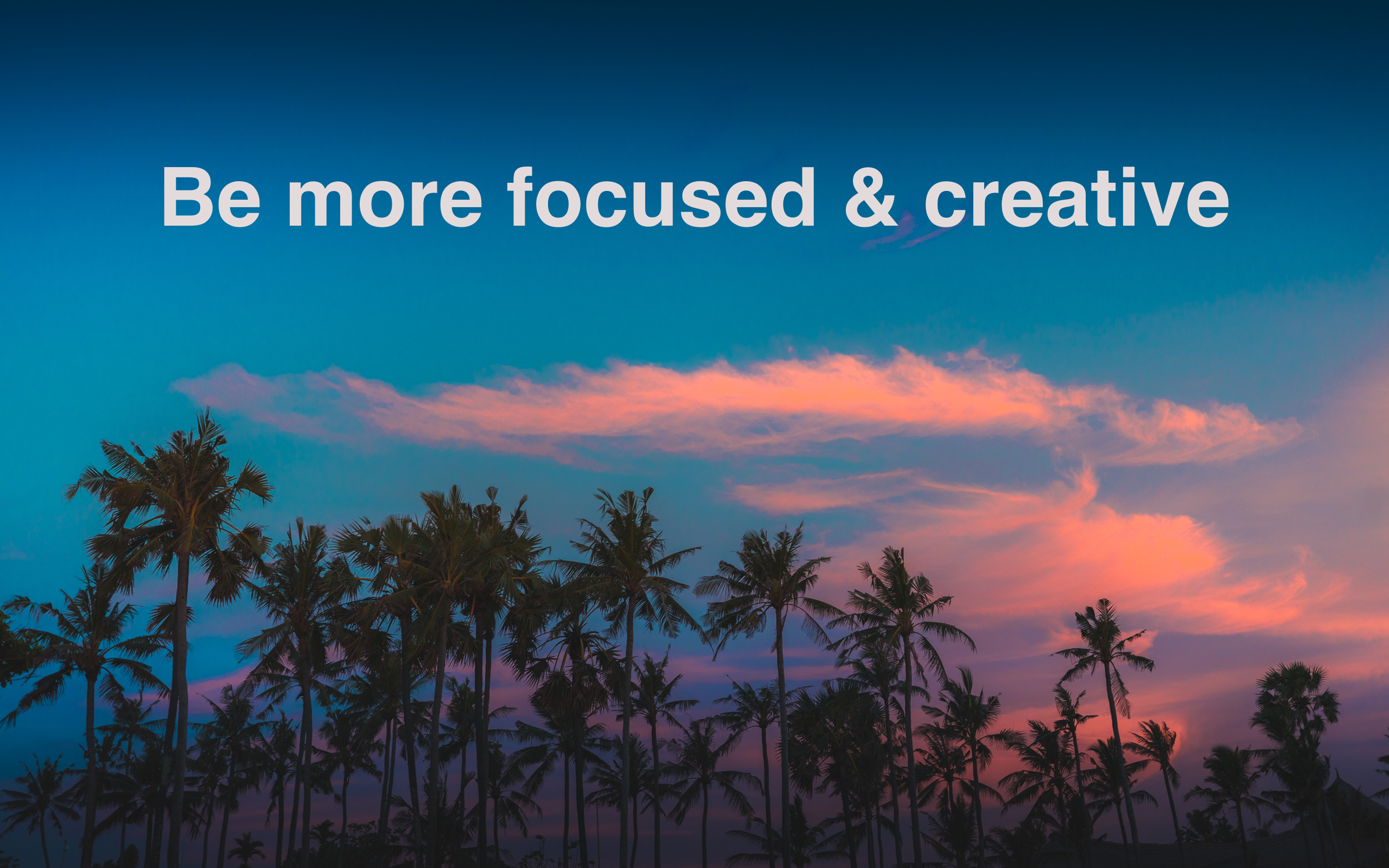 soyo™  gallery image