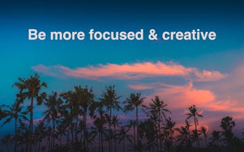 soyo™ gallery image