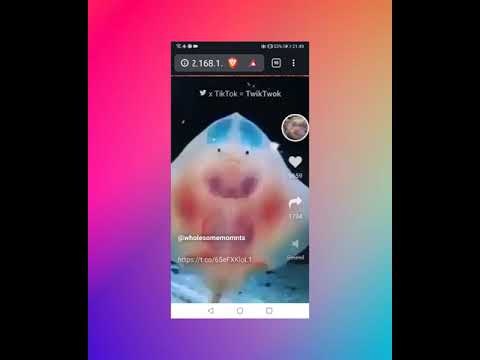 TwikTwok gallery image