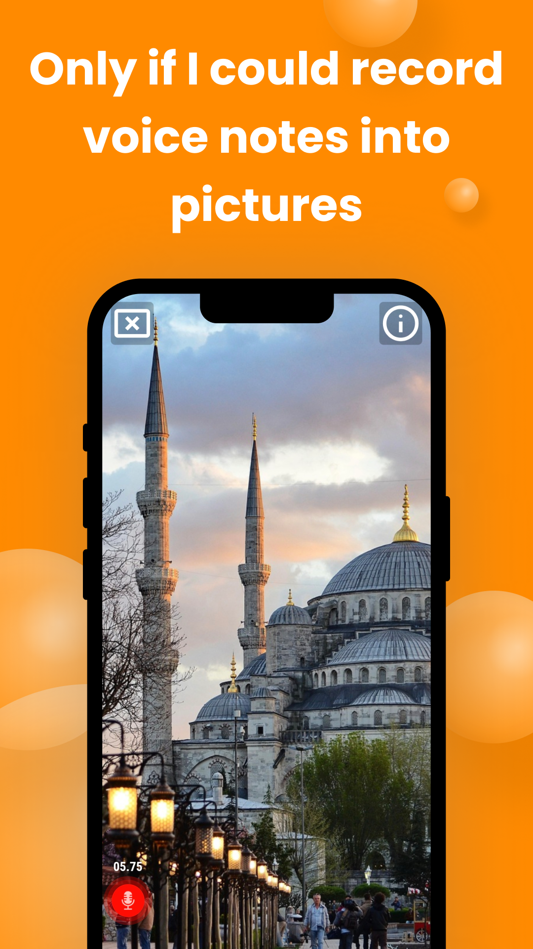 Zipladin gallery image