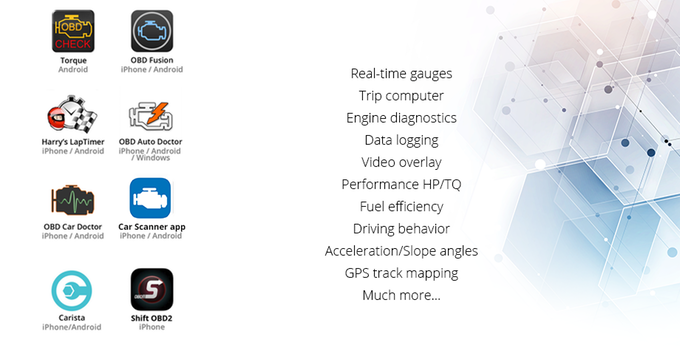 Kiwi 4 gallery image