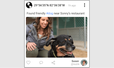 PLESION gallery image